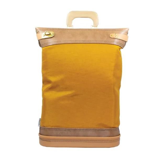 Regulation Locking Security Mailbag with Handles