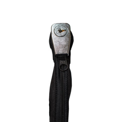 Locking Protected Gun Case