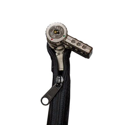 Locking Protected Gun Case