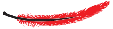 Feather 01 e1558003927548
